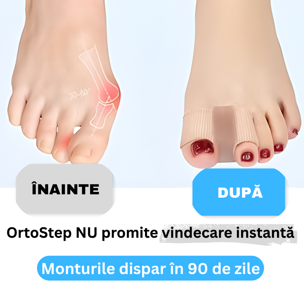 1.png__PID:d3d3f681-692b-4df9-9012-f941e9fe8430