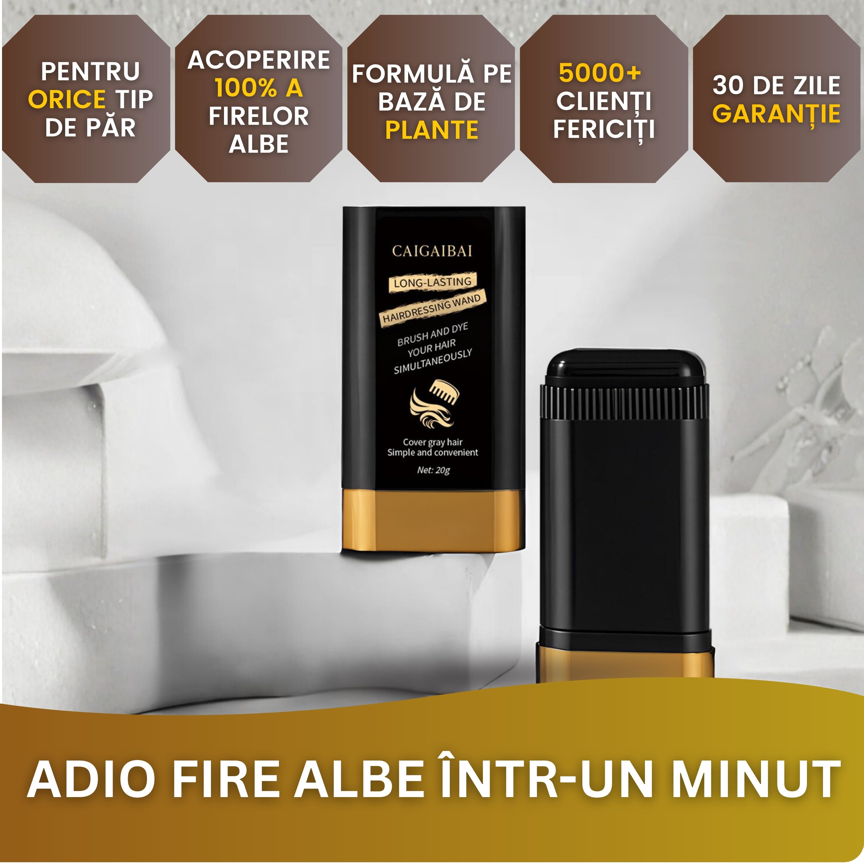 Concept 30 - Editable 1_1.jpg__PID:7e44d3d5-d7fd-441e-8c90-264c01663b8a