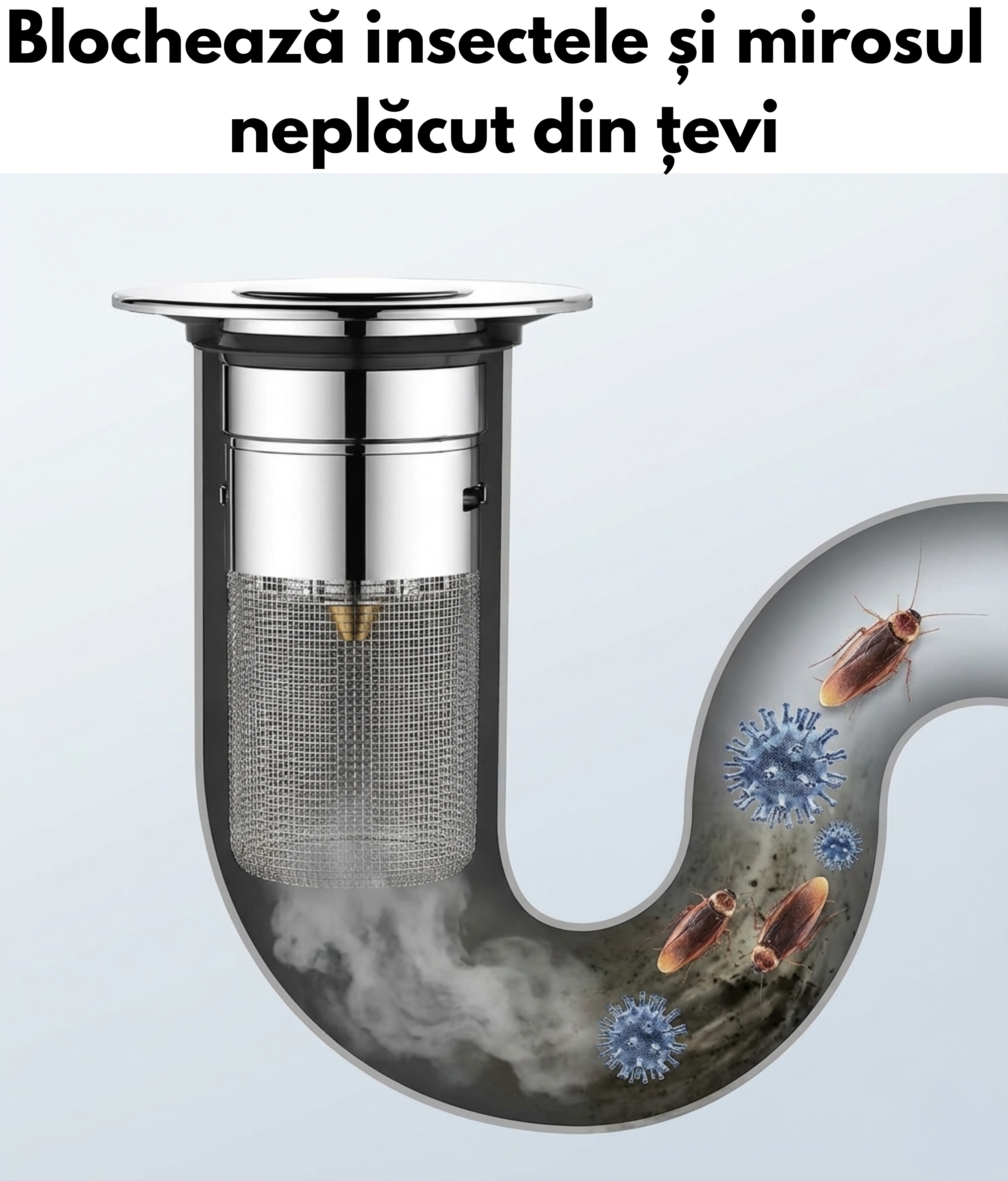 Your paragraph text.png__PID:4a94e45e-ffbf-4298-9c26-5644047452d8